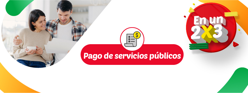 pago de servicios publicos